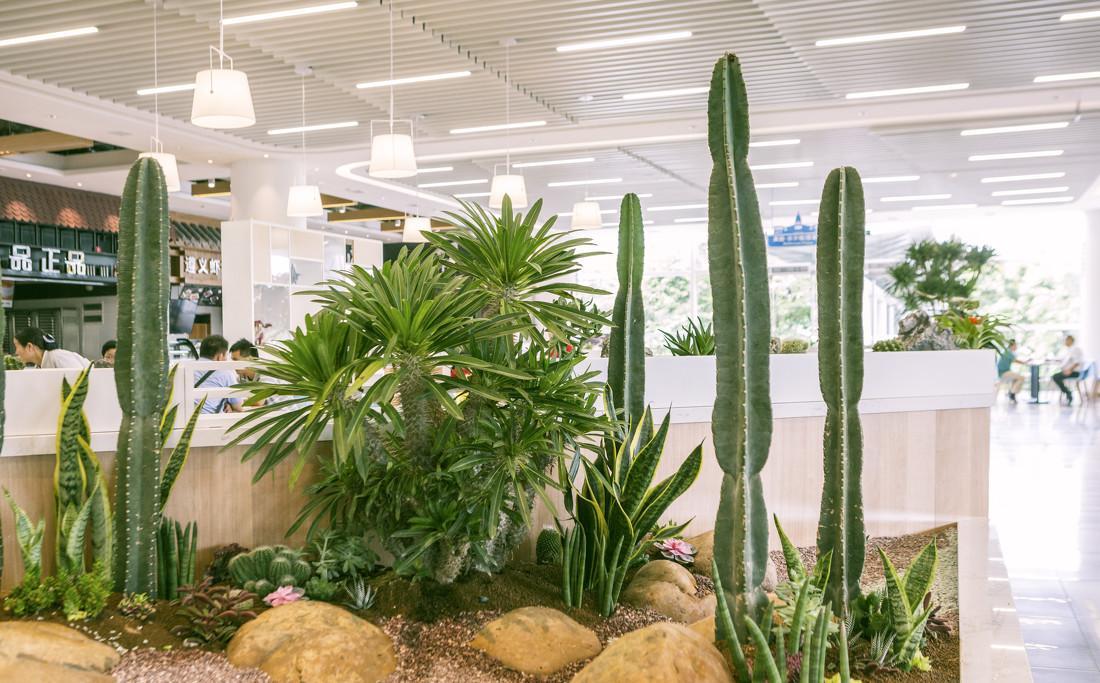 目前售后完善的餐饮桌椅制造企业哪家强